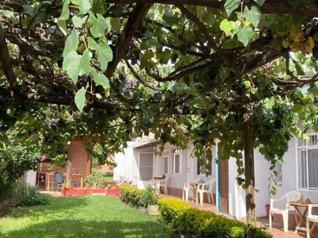 Hotel Samailandia Backpack Samaipata Exterior foto